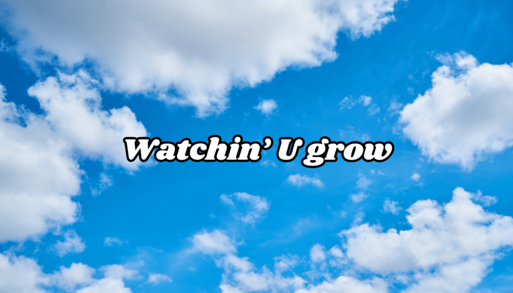 #Video 10# Texas Tapes : Watchin&rsquo; U Grow&nbsp;(acoustique)