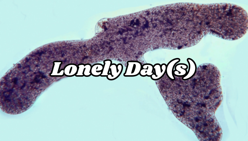 Lonely Day(s)